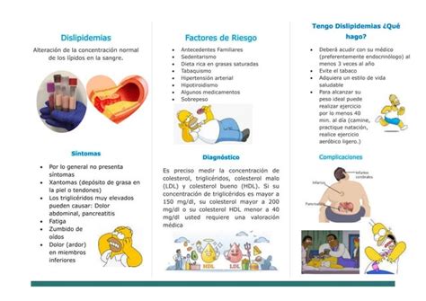 Triptico De Dislipidemias 037pdf