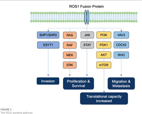 Figure 1 From Progress Of Non Small Cell Lung Cancer With Ros1