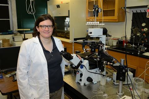 Assistant Professor Kristen Oconnell Of Uthsc Receives 1 6 Million