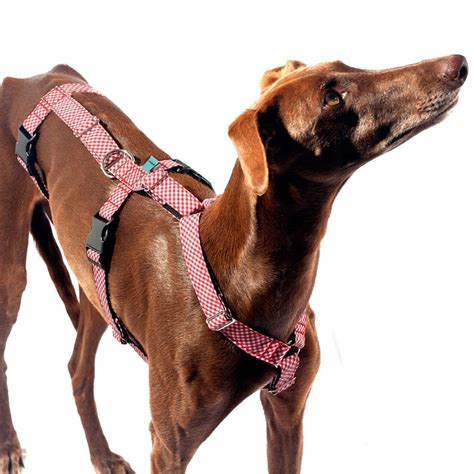 Greyhound harness/ dog harness/ galgos harnesses/ safety | Etsy