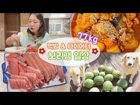 시골사는 30대 주부의 일상 닭도리탕 월병 수박따서 화채 해먹기 공항 놀러가기 YouTube