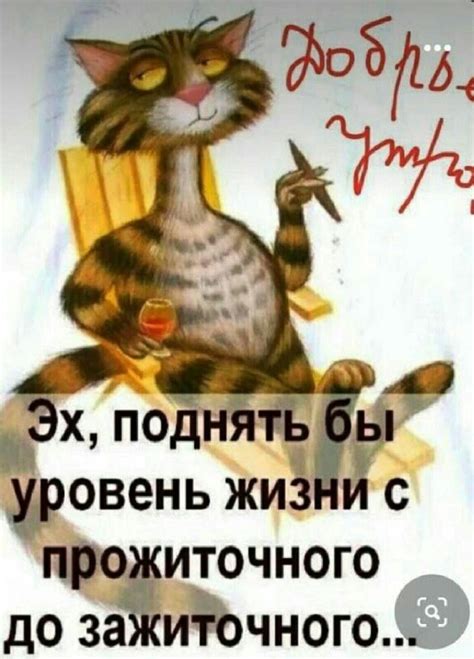 Pin by Альбина on Доброе утро Morning greeting Good morning Humor