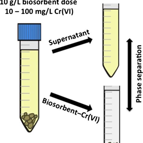 Scheme For Batch Procedure Used For Crvi Sorption Studies Employing