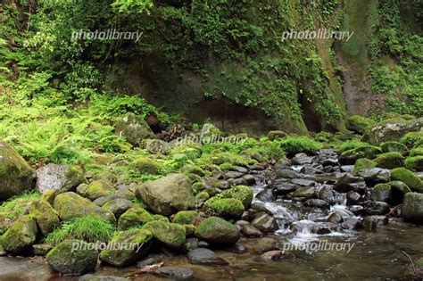 由布川峡谷 写真素材 5034216 フォトライブラリー Photolibrary