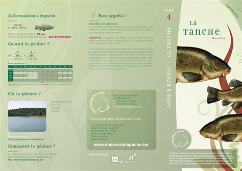 Tanche Fiche Poisson Indd