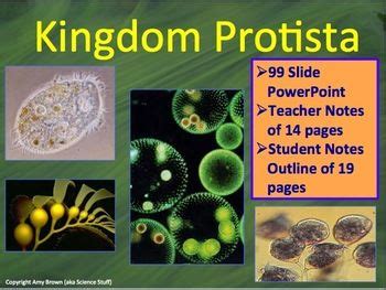 Protista Kingdom Protists Algae Protozoa - PowerPoint and Notes ...