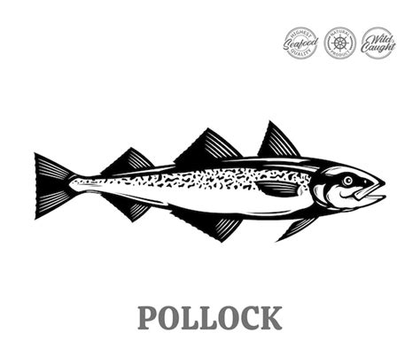 Premium Vector Vector Pollock Fish Illustration