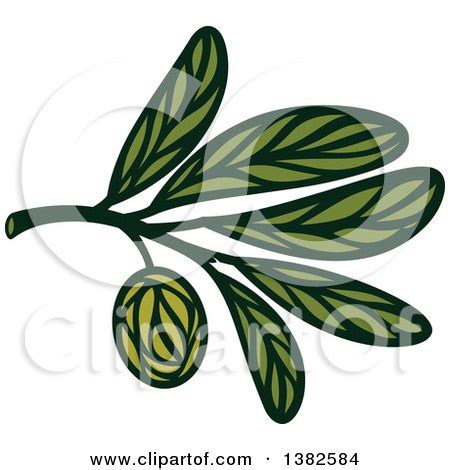 Clipart of a Green Olive Design - Royalty Free Vector Illustration by ...