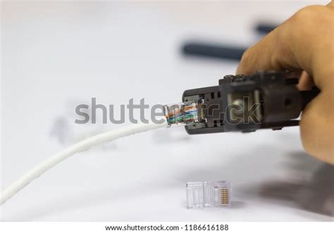 Technician Install Rj45 Connector On Cat5库存照片1186616188 Shutterstock