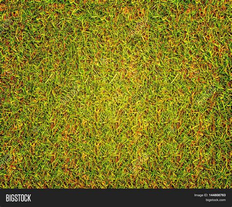 Grass Texture Golf Course Design Image & Photo | Bigstock