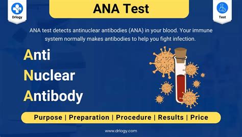 Antinuclear Antibody ANA Test Price Purpose And Results Drlogy