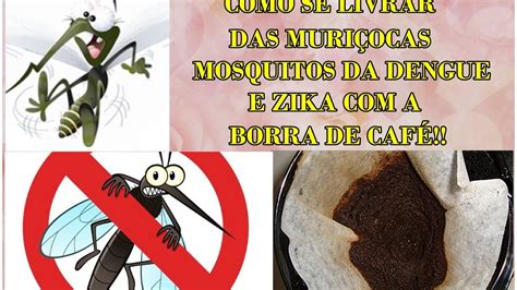 REPELENTE CASEIRO COMO AFASTAR MURIÇOCAS MOSQUITOS DA DENGUE E DA