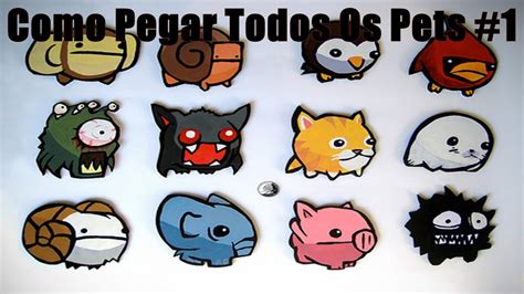 Castle Crashers Pegando Todos Os Pets 1 Youtube