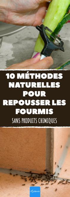 Meilleures Id Es Sur Lutte Contre Les Insectes Trucs Et Astuces