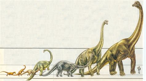 Origen Y Evolucion De Los Dinosaurios Imagui