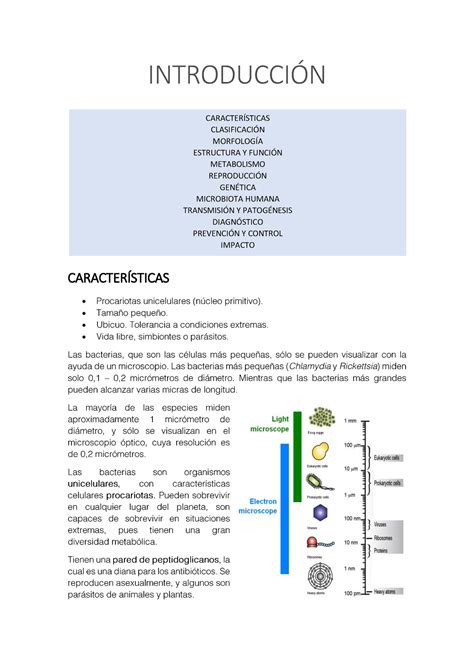 Tema 4 Introducción A La Bacteriología IntroducciÓn CaracterÍsticas