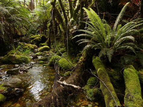 Wallpaper Landscape Photography Moss Green Rocks Wilderness