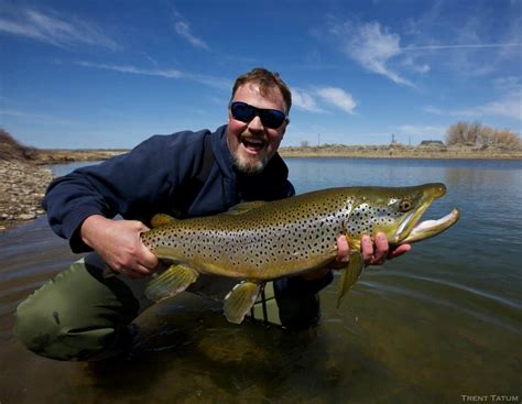 Wyoming Fly Fishing - North Platte Lodge