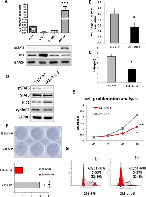 The Il Pstat Hic Axis In Mda Mb Cells Elisa Results Of