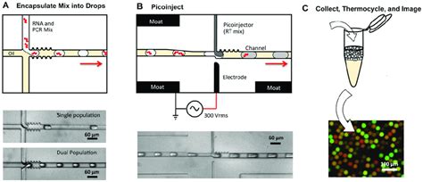 Microfluidic Devices And Digital RT PCR Workflow Used In This Study