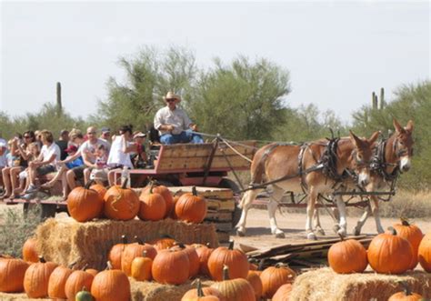 Macdonalds Ranch Annual Pumpkin Patch Macaroni Kid North Scottsdale Pv