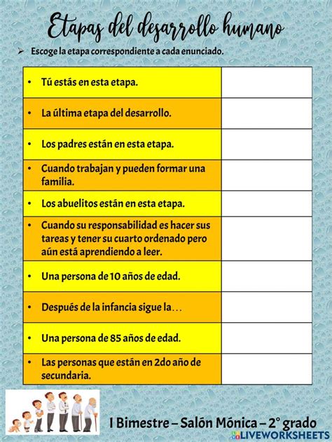 Etapas Del Desarrollo Online Activity Live Worksheets