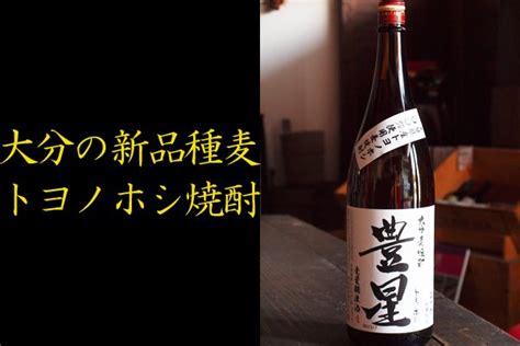 兼八 トヨノホシ 麦焼酎 25度 1800ml 四ッ谷酒造 待望