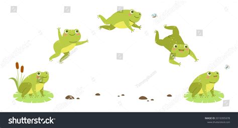 12,142 Frog Hopping Images, Stock Photos & Vectors | Shutterstock