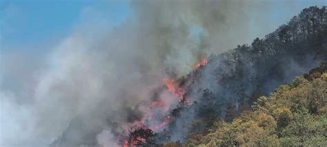 Más De 100 Incendios Forestales Han Afectado Mil 370 Hectáreas En Hidalgo