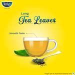 Buy Tetley Green Tea Long Leaf Gm Packet Online At Best Price Of