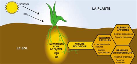 Fertilisation Mise à Jour Des Connaissances Cetab