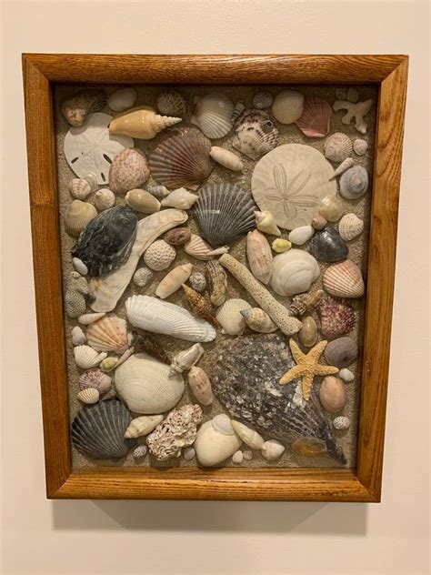 Beach House Decor Shells Oak Wood Frame Shadow Box Display Etsy