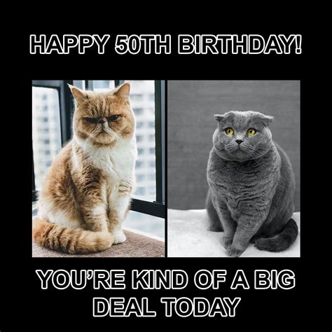 Over Funny Birthday Memes That Are Sure To Make You Off