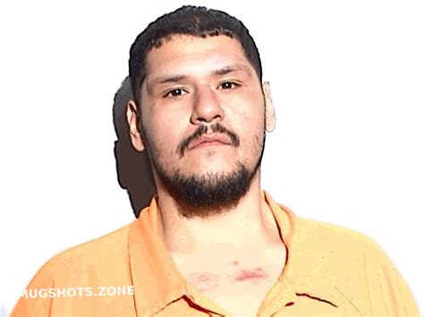 Gonzalez Daniel Demetrio Lucas County Mugshots Zone