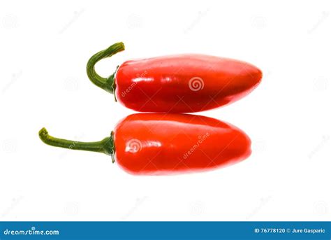 Red Ripe Jalapeno Chili Hot Pepper From Caribbean Or Mexico Stock Photo