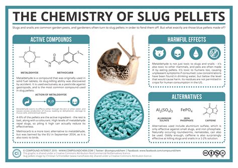 Can Slug Pellets Harm Dogs