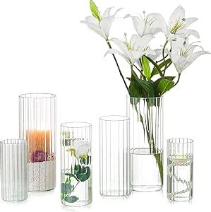 Amazon De Hewory Vase Windlicht Glas Blumenvase 6er Glasvase Zylinder