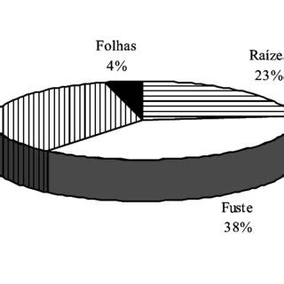 PDF Allometric Relationships In Leucaena Leucocephala Lam De Wit