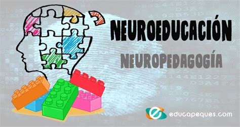 Neuroeducación