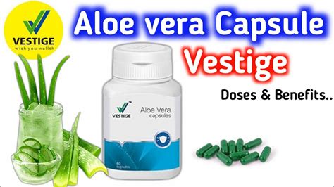 Health Benefits Of Vestige Aloe Vera Capsule YouTube