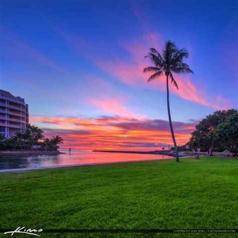 Boca Raton Inlet Sunrise Coconut Tree Royal Stock Photo