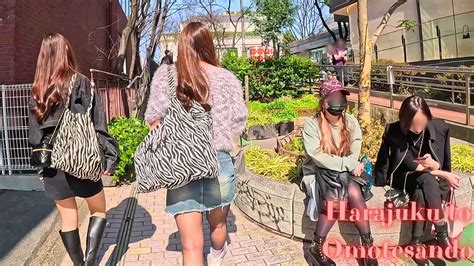 Harajuku To Omotesando Tokyo In Japan Walking Tour K Youtube