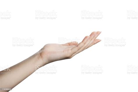 Beautiful Womans Hand Isolated On White Background Palm Up Stock Photo