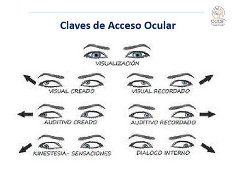 São Formas De Reconhecimento Dos Sinais De Problemas Ocular Exceto - Claves de Acceso Ocular | PDF
