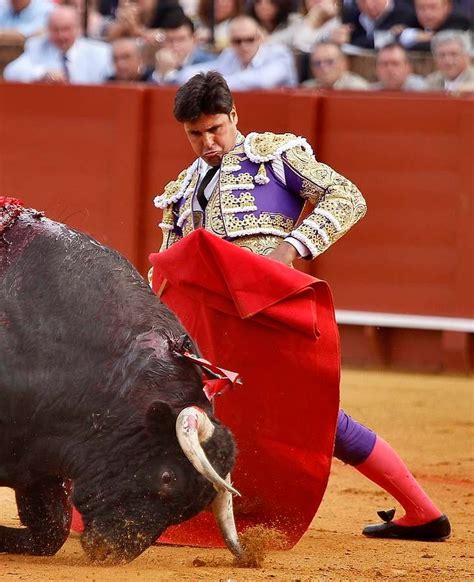 Paquirri de la reaparición a la cornada más grave de su vida