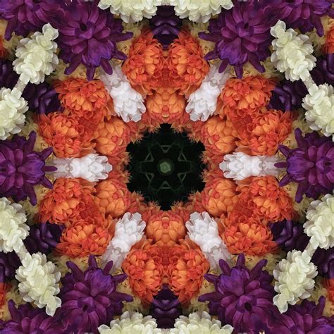 Solve Kaleidoscope Chrysanthemes Very Large Jigsaw Puzzle Online