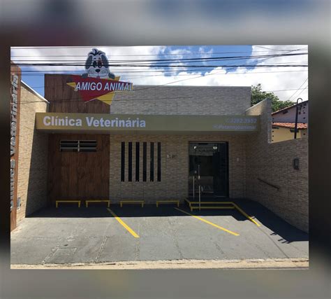 Amigo Bicho Hospital Veterinário E Pet Shop 24h - Bicho Amigo... - Bicho Amigo Clinica Veterinaria e Pet Shop