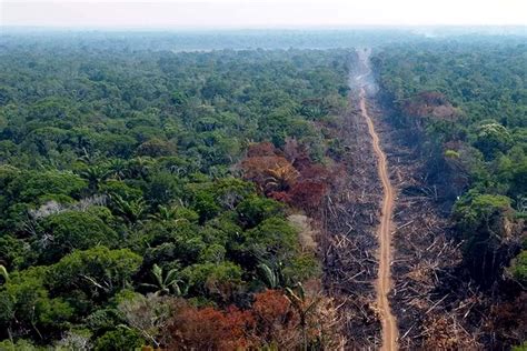 Amazônia 2022 já tem pior marca da série histórica de alertas de