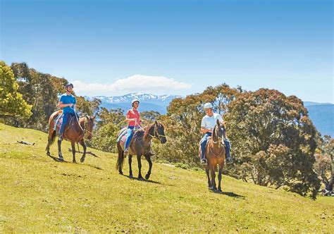 Snowy Mountains Horse Riding - Kosciusko National Park Attractions