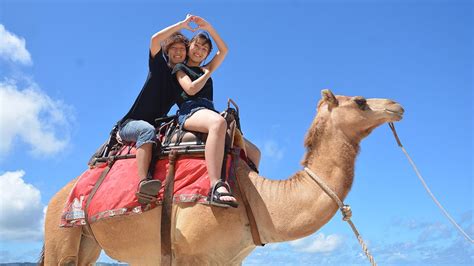 Bali Camel Ride at Nusa Dua At Affordable Price [2025]